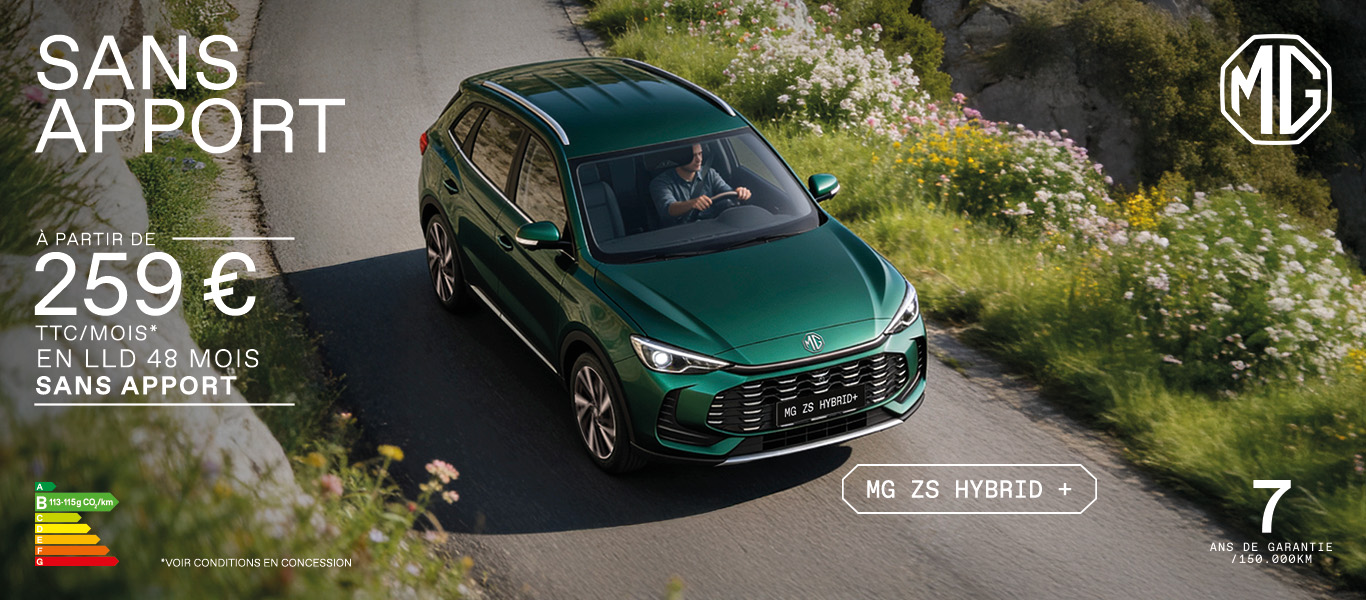 ZS Hybrid